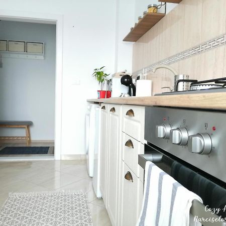 Cozy Apartment Narciselor Suceava Ipotesti  Extérieur photo