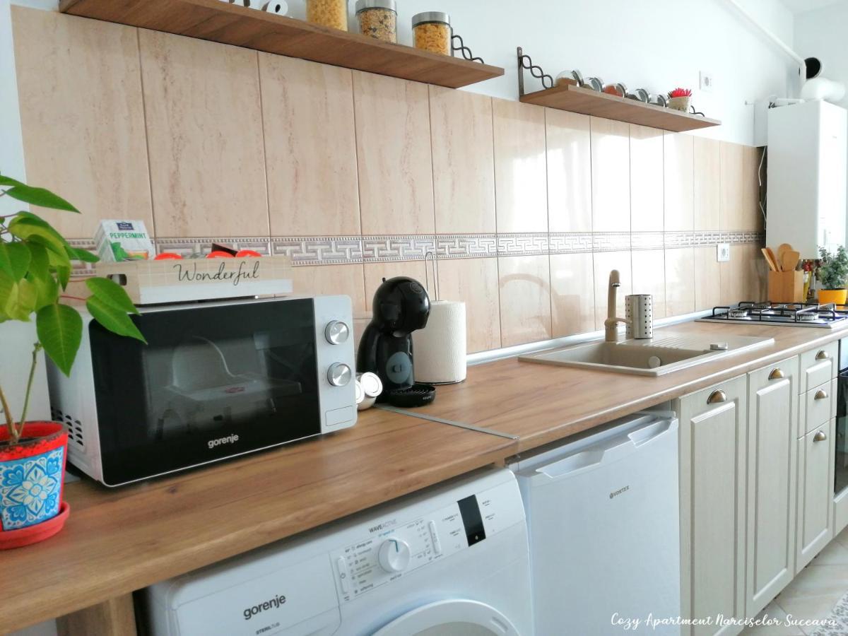Cozy Apartment Narciselor Suceava Ipotesti  Extérieur photo
