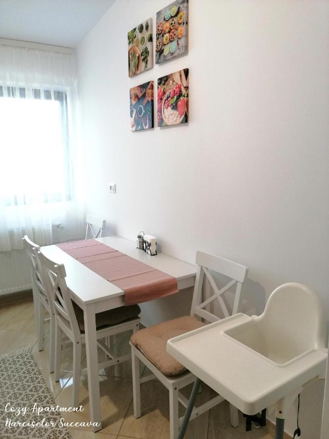 Cozy Apartment Narciselor Suceava Ipotesti  Extérieur photo
